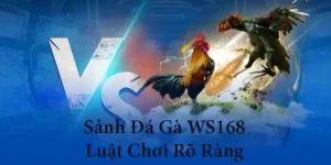 Kỹ Thuật Cách Chơi Đá Gà WS168 Tại GemBet Bất Bại Mọi Kèo