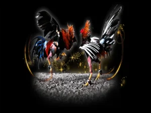 Hướng Dẫn Cách Chơi Đá Gà Sabong Tại GemBet Chuẩn Xác Nhất