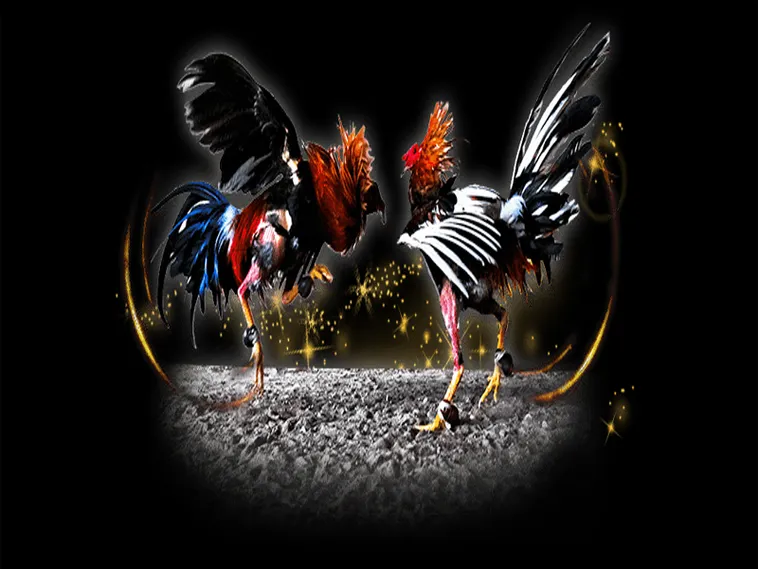 Hướng Dẫn Cách Chơi Đá Gà Sabong Tại GemBet Chuẩn Xác Nhất 1 Hướng Dẫn Cách Chơi Đá Gà Sabong Tại GemBet Chuẩn Xác Nhất